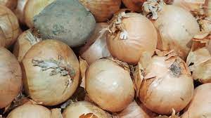Salmonella outbreak traced to onions ...
