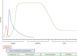 Each year in the united states, an estimated 3,000 to 6,000 people develop gbs. Guillain Barre Syndrome The Lancet