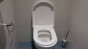 How To Fit Or Replace A Toilet Seat