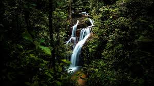 Air terjun blangisnga berjarak sekitar 30 menit berkendara dari ubud dan sekitar satu jam perjalanan dari seminyak atau canggu. Sungai Pisang Waterfall Visit Selangor