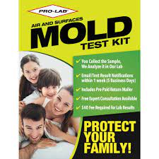 pro lab mold test kit mo109 the home