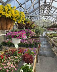 riverside greenhouses florist