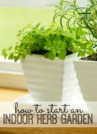 How To Start An Indoor Herb Garden My