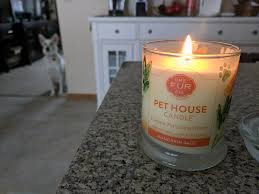 Patented enzyme formulation to get rid of foul odors. Best Pet Odor Eliminating Candles And Sprays Woof Whiskers