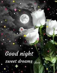 Pin by Narendra Pal Singh on Good night | Good night sweet dreams, Good  night friends images, Blessed night