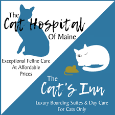Cats, particularly indoor cats, are now living longer than they have in past years. Veterinary House Calls In Home Euthanasia The Cat Hospital Of Maine
