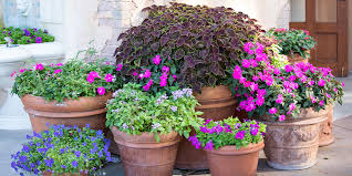 Your Patio With Potted Plants