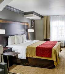 comfort inn hotel guest rooms