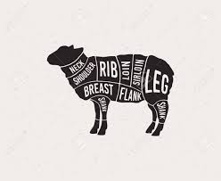 Meat Cuts Diagrams For Butcher Shop Scheme Of Lamb Animal