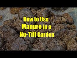 How To Use Manure In A No Till Garden