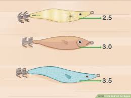 How To Fish For Squid 15 Steps With Pictures Wikihow