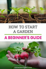 How To Start A Garden For Beginners