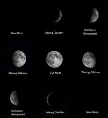Science Activity Moon Phases We Share The Same Moon