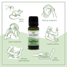 organic peppermint essential oil