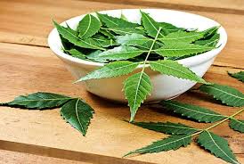 Image result for reducing cracked heels with neem