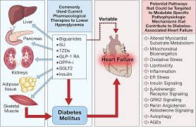 Most people who develop type 2 diabetes first have insulin resistance, a condition in which the body's cells use insulin less efficiently than normal. Heart Failure In Type 2 Diabetes Mellitus Circulation Research