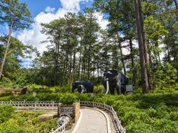 baguio botanical garden