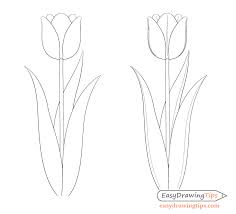 From the variety of easy drawing pictures given here, you can click on any picture to navigate to the page containing detailed steps on how to draw that picture in a step by. Easy Tulip Drawing Step By Step Easydrawingtips