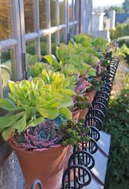 Succulent Containers For Your Garden