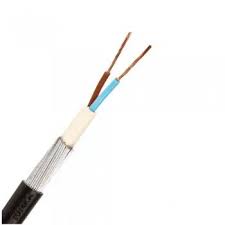 2 5mm 2 Core Armoured Cable Cut To