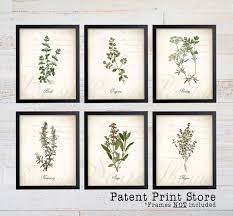 Herb Botanical Art Prints Herb Prints
