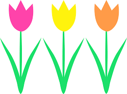 Free Free Tulip Clipart, Download Free Free Tulip Clipart png ...