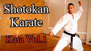 Shotokan karate goju ryu karate karate kata kyokushin karate karate training judo martial arts workout boxing workout japanese karate. The First 5 Kata Of Shotokan Karate Step By Step Tutorial Youtube