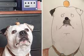 Your own custom pet art designed by professional artists. Rubbish Pet Portraits Raise 5k For Homeless Bbc News