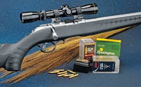 ruger american rimfire stainless