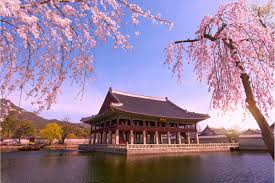 south korea visa requirements for