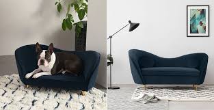 dog beds will match your sofa