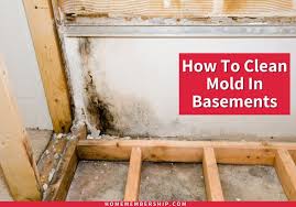 How To Clean Mold In Basements