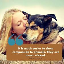 The love for all living creatures is the most noble attribute of man. 50 Best Animal Lover Quotes That Touch Your Heart Status For Animals