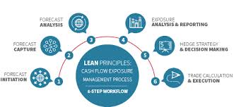 6 Steps To A Lean Cash Flow Exposure Management Fireapps