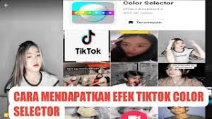 💯👍 any likes, comments, and subscriptions are greatly appreciated as it will help push my videos to new audiences💝 support the. How To Use Tiktok Color Selector Herunterladen