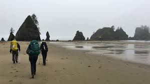 North Coast Route Backpacking Guide Olympic National Park