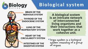 biological system definition and