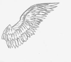 Angel Wing Drawing Rftexpressparcels Com