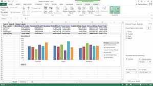 What Can You Do With Your Excel Pivot Chart Dummies