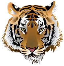 tiger head pngs for free