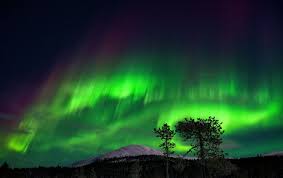 northern lights expected to be the most