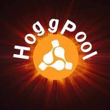 القصة الكاملة لـ تطبيق هوج بول «Hoog pool».. كواليس استيلاء مستريح الإنترنت على 6 مليار جنيه.. وتفاصيل خفية لـ غلق التطبيق 2
