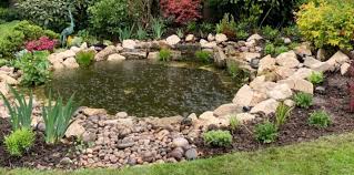 A Pond In Wargrave Gets A Make Over In