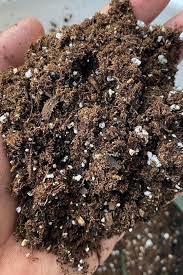 peat moss what it is how to use it