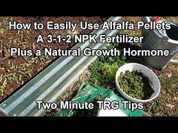 how to use alfalfa pellets save money