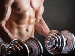 body building tips for beginners