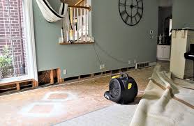 water damage amherst carpet cleaners