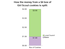 Where Does Girl Scout Cookie Money Go Sas Learning Post