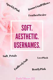 26 super soft aesthetic usernames