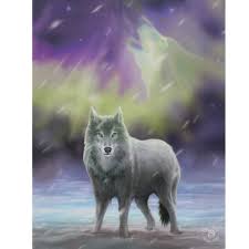 Aura Wolf Canvas Picture Anne Stokes